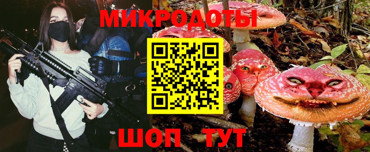 Псилоцибиновые грибы Psilocybine cubensis Михайловск